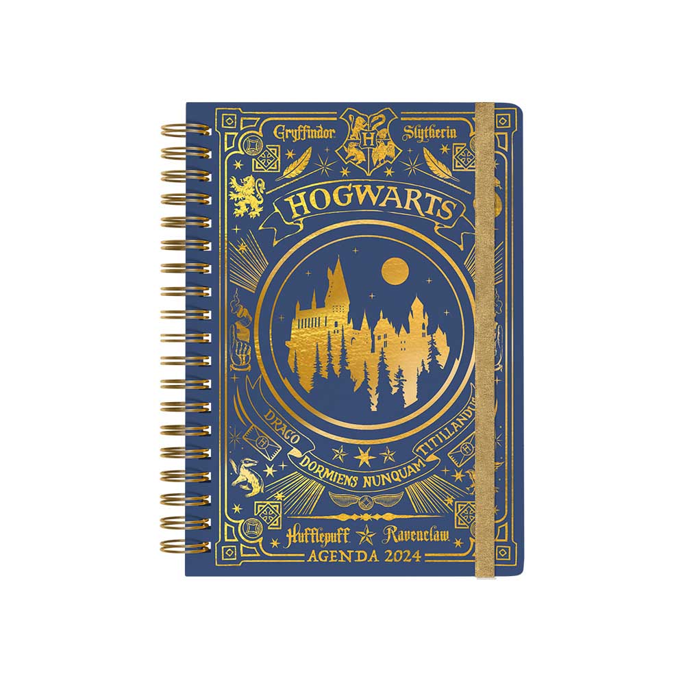 Agenda Mooving Harry Potter 14x20 - imagen del producto