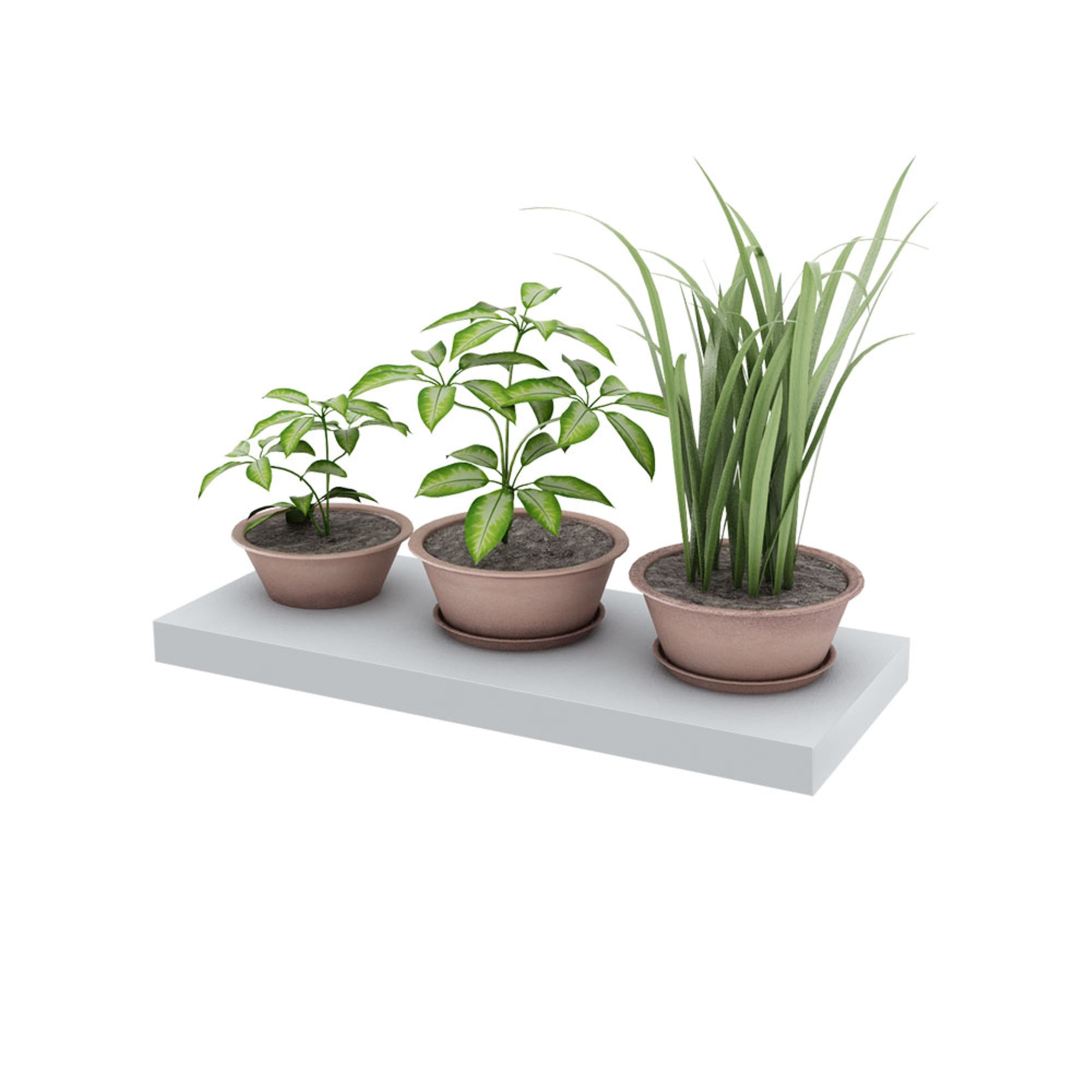 Estante flotante Centro Estant 60 x 25 cm. blanco - imagen del producto