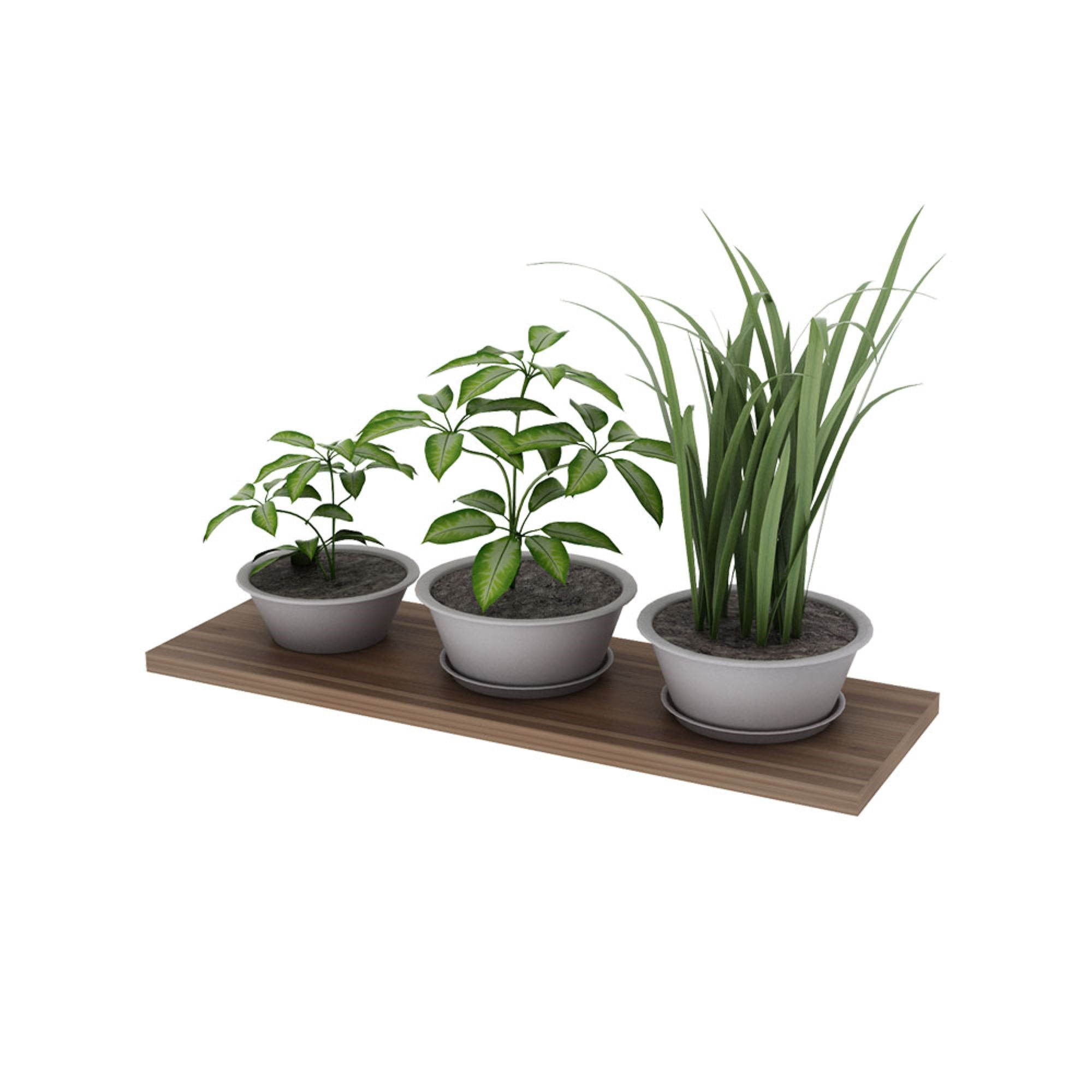 Estante slim 60 x 20 Paraíso - imagen del producto